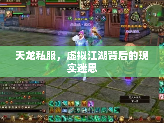 天龙私服，虚拟江湖背后的现实迷思