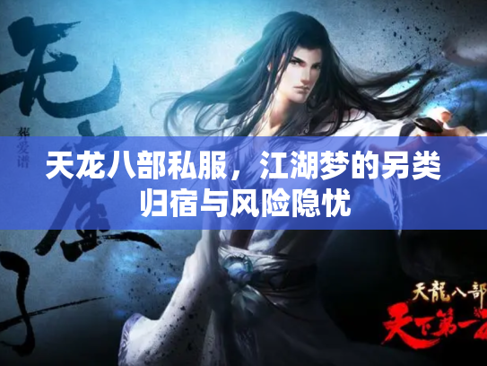 天龙八部私服，江湖梦的另类归宿与风险隐忧