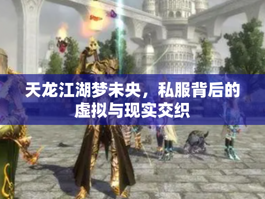 天龙江湖梦未央，私服背后的虚拟与现实交织