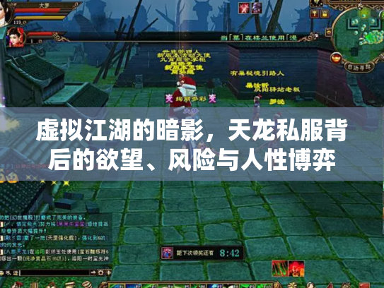 虚拟江湖的暗影，天龙私服背后的欲望、风险与人性博弈