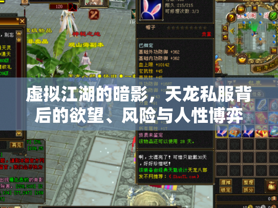 虚拟江湖的暗影，天龙私服背后的欲望、风险与人性博弈