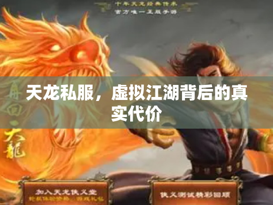天龙私服，虚拟江湖背后的真实代价