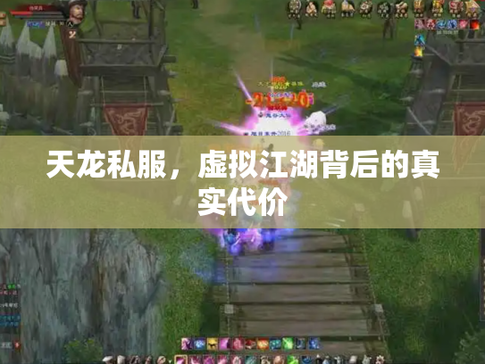 天龙私服，虚拟江湖背后的真实代价