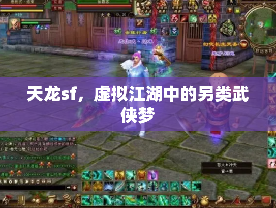 天龙sf，虚拟江湖中的另类武侠梦