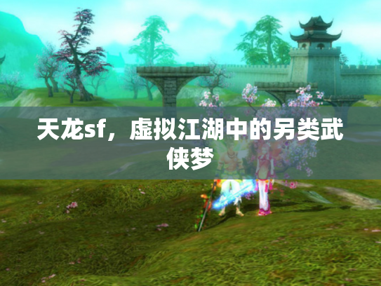 天龙sf，虚拟江湖中的另类武侠梦