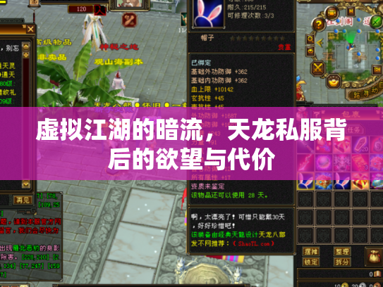 虚拟江湖的暗流，天龙私服背后的欲望与代价