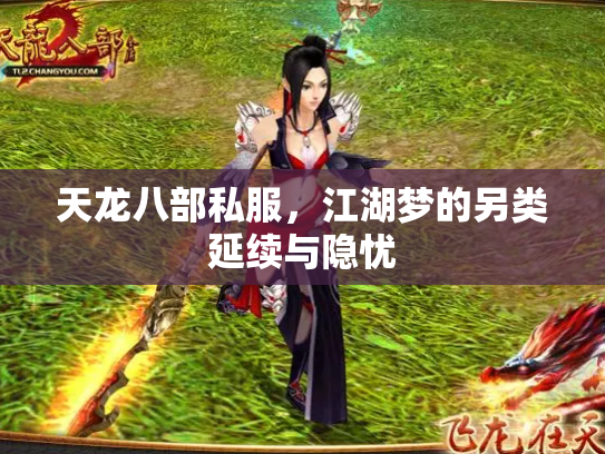 天龙八部私服，江湖梦的另类延续与隐忧