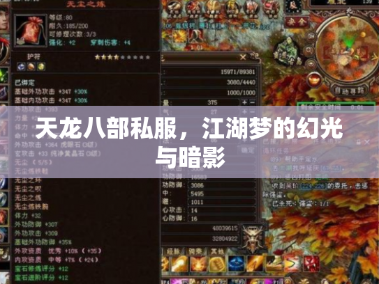 天龙八部私服，江湖梦的幻光与暗影