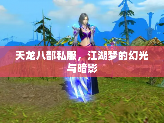 天龙八部私服，江湖梦的幻光与暗影