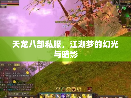 天龙八部私服，江湖梦的幻光与暗影