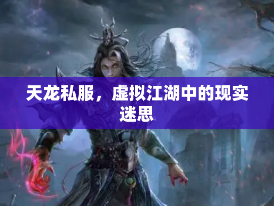 天龙私服，虚拟江湖中的现实迷思