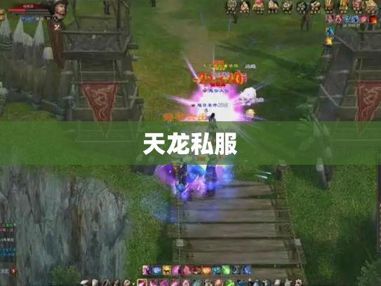 天龙私服