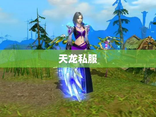 天龙私服