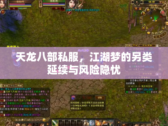 天龙八部私服，江湖梦的另类延续与风险隐忧