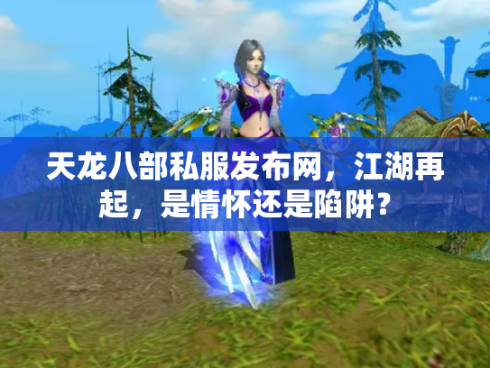 天龙八部私服发布网，江湖再起，是情怀还是陷阱？