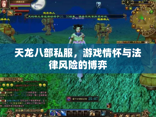 天龙八部私服，游戏情怀与法律风险的博弈
