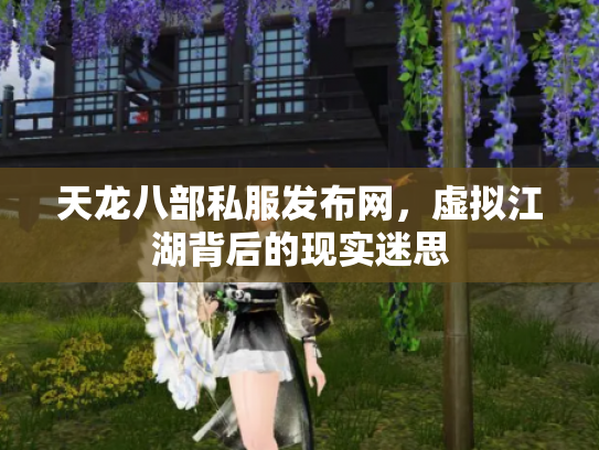 天龙八部私服发布网，虚拟江湖背后的现实迷思