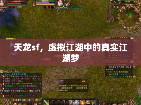 天龙sf，虚拟江湖中的真实江湖梦
