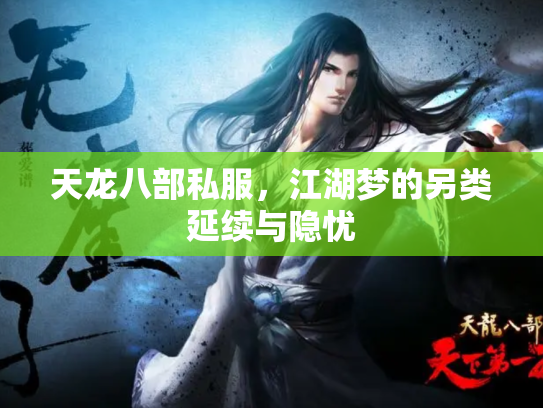天龙八部私服，江湖梦的另类延续与隐忧