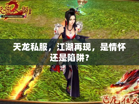 天龙私服，江湖再现，是情怀还是陷阱？