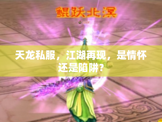 天龙私服，江湖再现，是情怀还是陷阱？