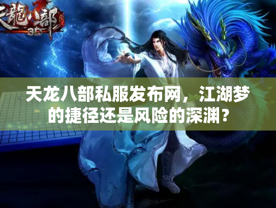 天龙八部私服发布网，江湖梦的捷径还是风险的深渊？