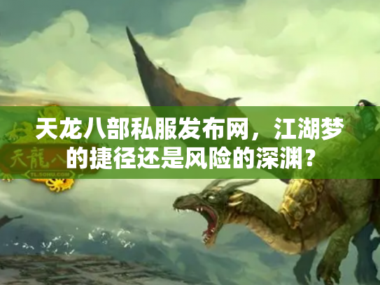 天龙八部私服发布网，江湖梦的捷径还是风险的深渊？