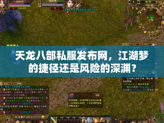 天龙八部私服发布网，江湖梦的捷径还是风险的深渊？