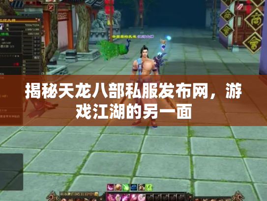 揭秘天龙八部私服发布网，游戏江湖的另一面