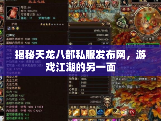 揭秘天龙八部私服发布网，游戏江湖的另一面