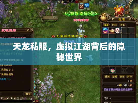 天龙私服，虚拟江湖背后的隐秘世界