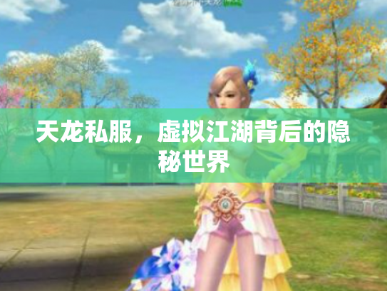 天龙私服，虚拟江湖背后的隐秘世界