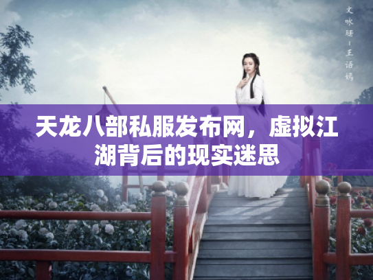天龙八部私服发布网，虚拟江湖背后的现实迷思