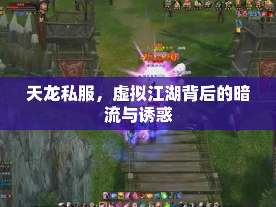 天龙私服，虚拟江湖背后的暗流与诱惑