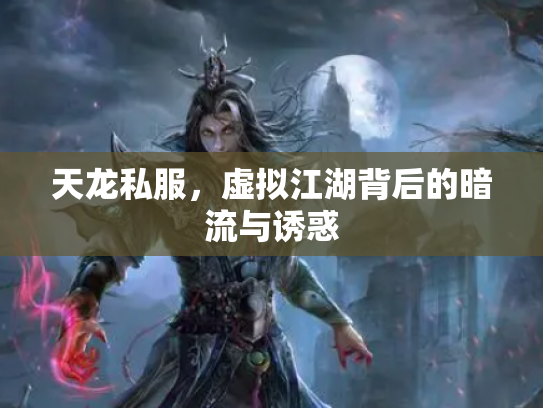 天龙私服，虚拟江湖背后的暗流与诱惑