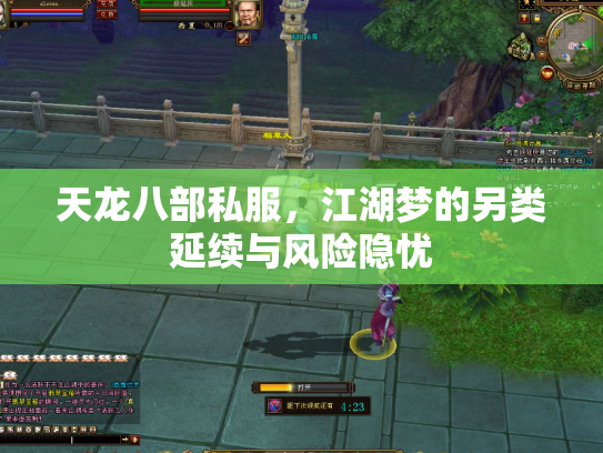 天龙八部私服，江湖梦的另类延续与风险隐忧