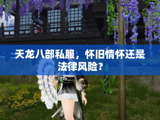 天龙八部私服，怀旧情怀还是法律风险？
