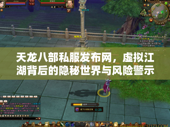 天龙八部私服发布网，虚拟江湖背后的隐秘世界与风险警示