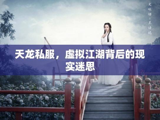 天龙私服，虚拟江湖背后的现实迷思
