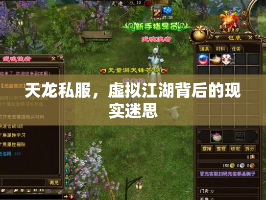 天龙私服，虚拟江湖背后的现实迷思