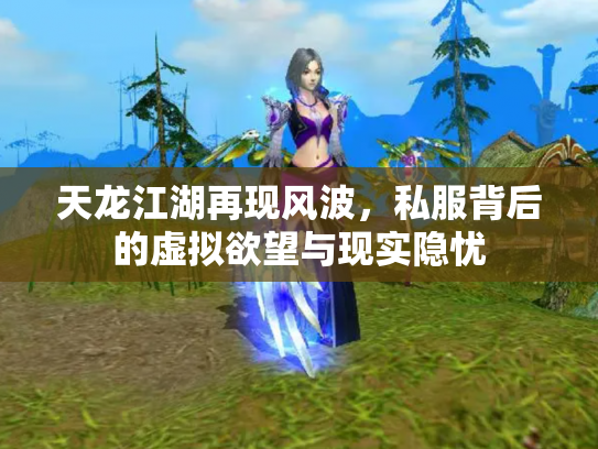 天龙江湖再现风波，私服背后的虚拟欲望与现实隐忧