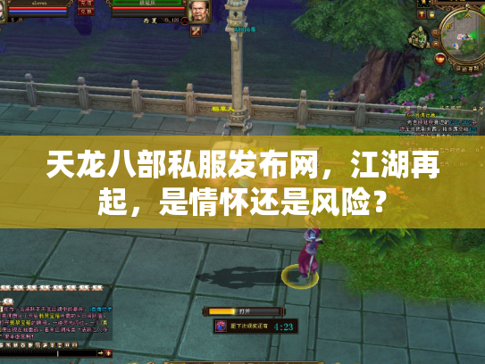 天龙八部私服发布网，江湖再起，是情怀还是风险？