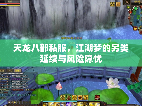 天龙八部私服，江湖梦的另类延续与风险隐忧