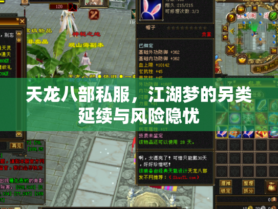 天龙八部私服，江湖梦的另类延续与风险隐忧