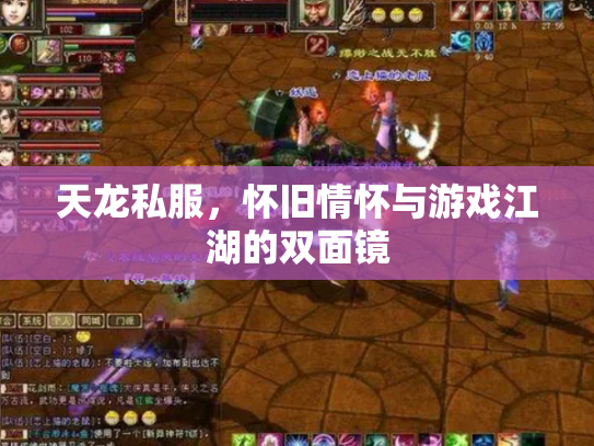 天龙私服，怀旧情怀与游戏江湖的双面镜