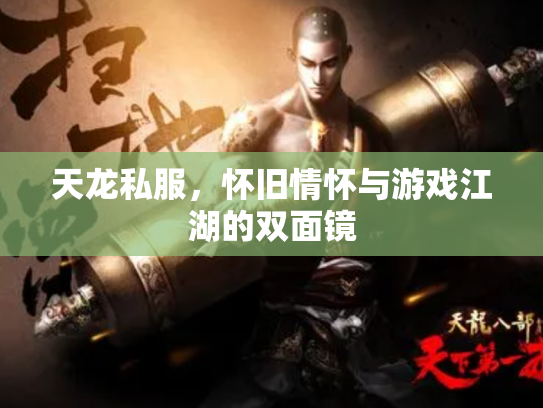 天龙私服，怀旧情怀与游戏江湖的双面镜