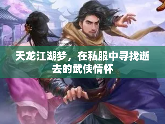 天龙江湖梦，在私服中寻找逝去的武侠情怀