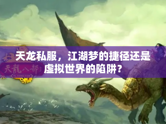 天龙私服，江湖梦的捷径还是虚拟世界的陷阱？