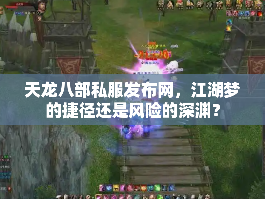 天龙八部私服发布网，江湖梦的捷径还是风险的深渊？