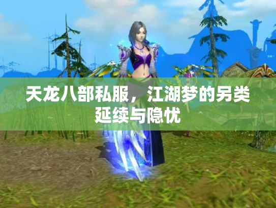 天龙八部私服，江湖梦的另类延续与隐忧